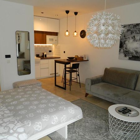 Rose Downtown Apartment Podgoriţa Exterior foto