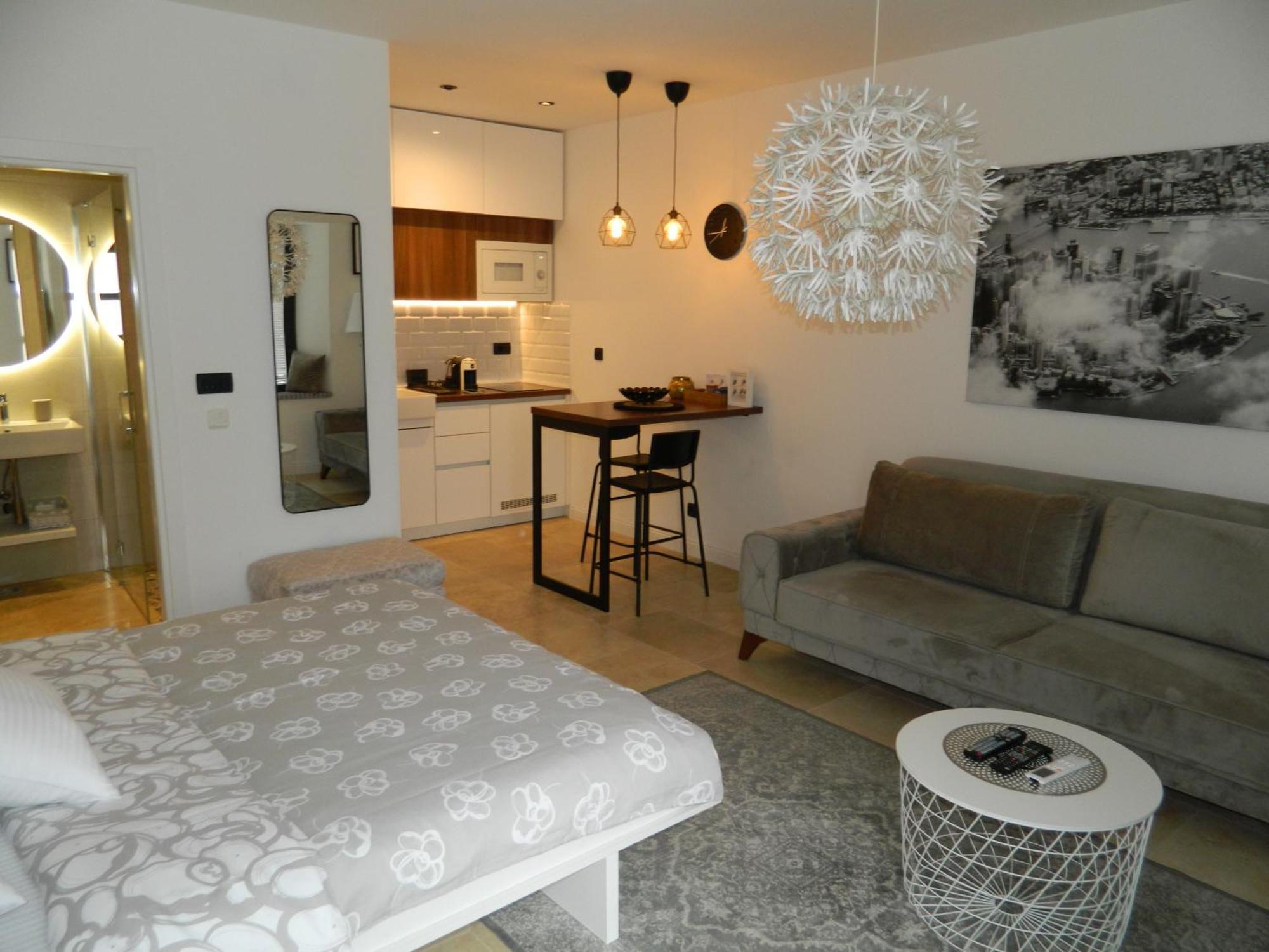 Rose Downtown Apartment Podgoriţa Exterior foto