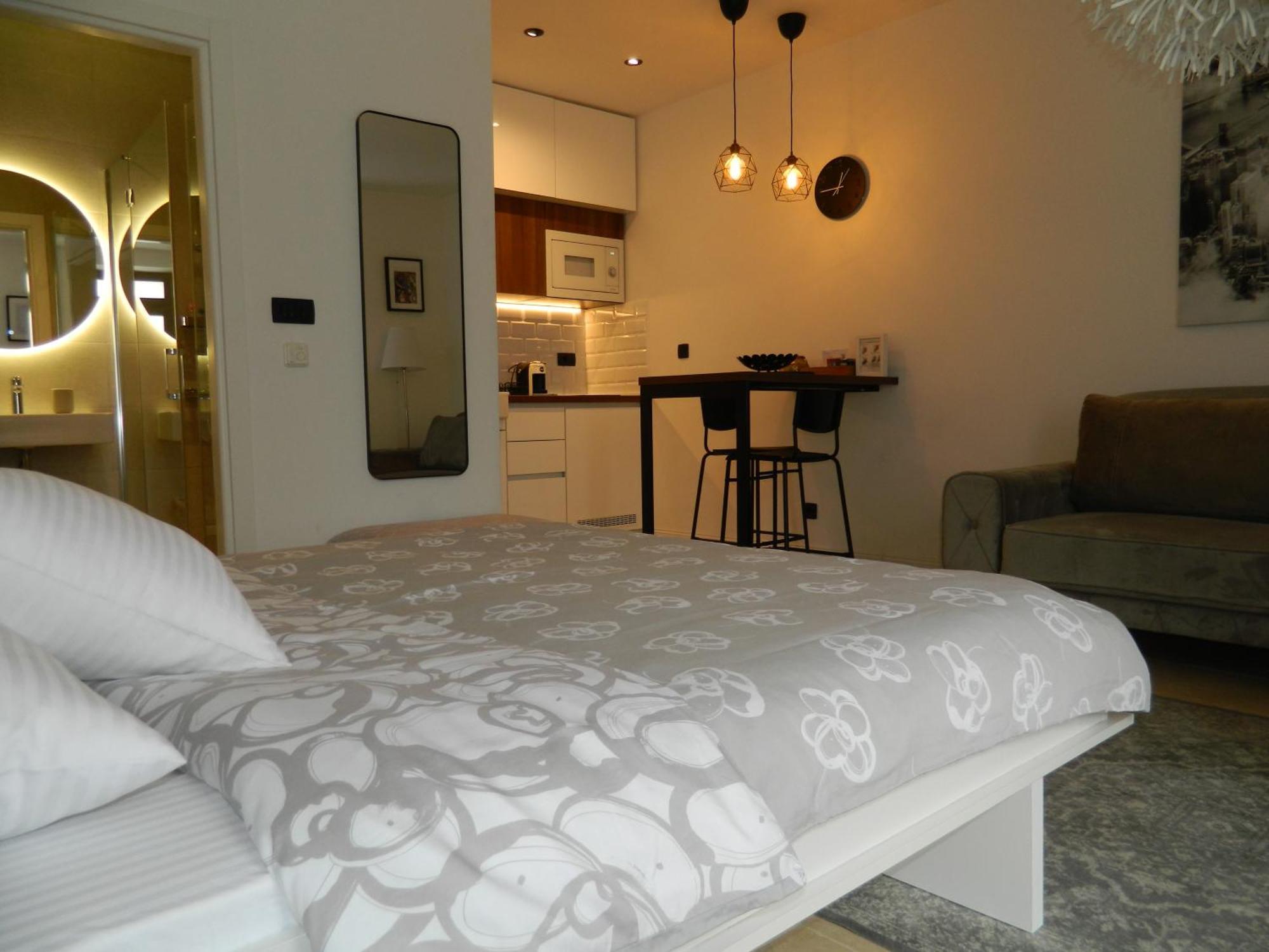 Rose Downtown Apartment Podgoriţa Exterior foto